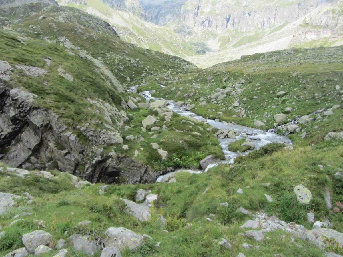 Bilocale A Due Passi Dal Gran Paradiso Locana Exterior foto